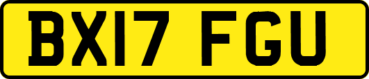 BX17FGU