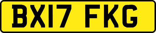 BX17FKG