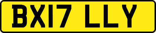 BX17LLY