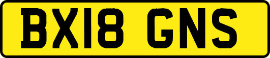 BX18GNS