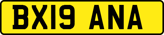 BX19ANA