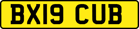 BX19CUB