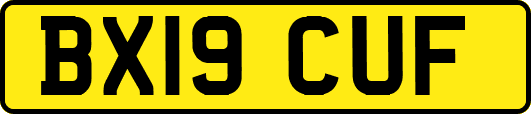 BX19CUF