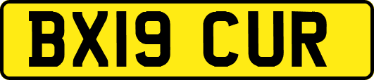 BX19CUR