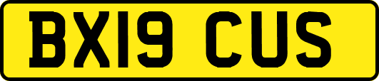 BX19CUS