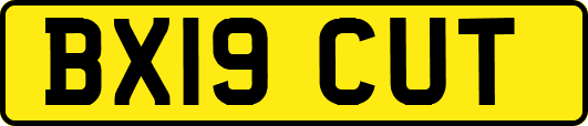 BX19CUT