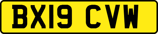 BX19CVW