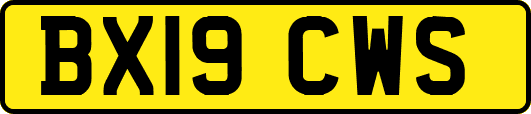 BX19CWS