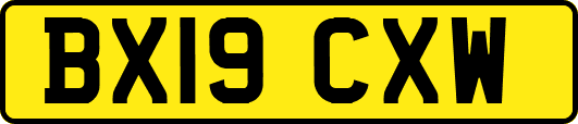 BX19CXW