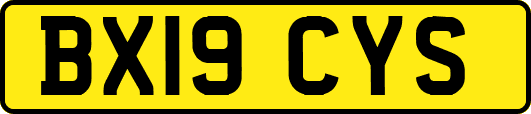 BX19CYS