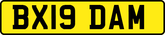BX19DAM