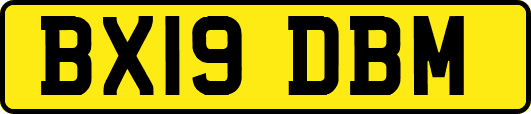 BX19DBM