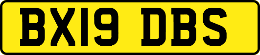 BX19DBS