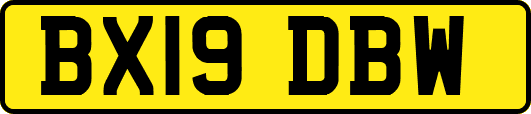 BX19DBW