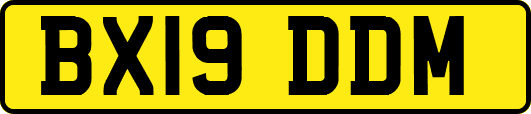 BX19DDM