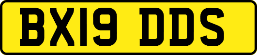 BX19DDS
