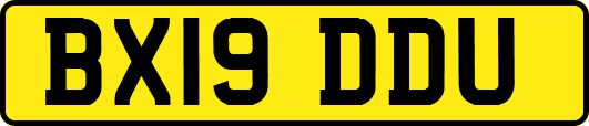 BX19DDU