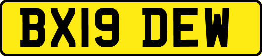 BX19DEW