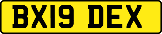 BX19DEX