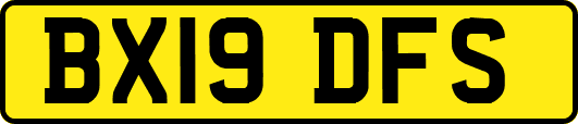 BX19DFS