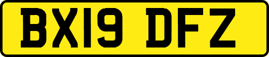 BX19DFZ