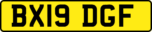BX19DGF