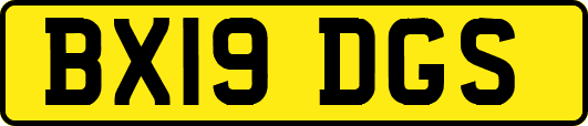 BX19DGS