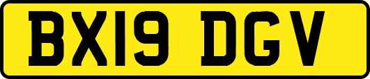 BX19DGV