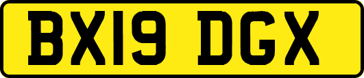 BX19DGX