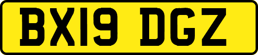 BX19DGZ