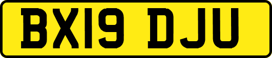 BX19DJU