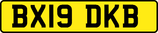 BX19DKB