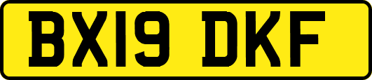 BX19DKF