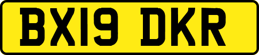 BX19DKR