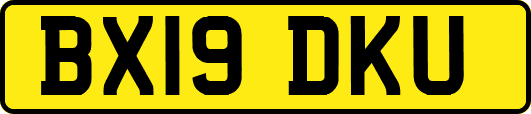 BX19DKU