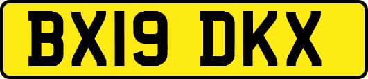 BX19DKX