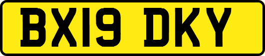 BX19DKY
