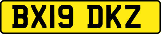 BX19DKZ