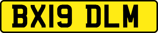 BX19DLM