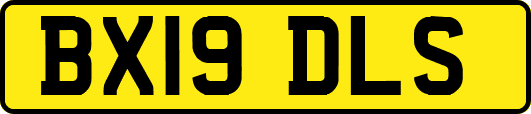 BX19DLS
