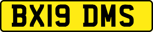 BX19DMS