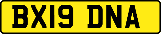 BX19DNA
