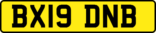 BX19DNB