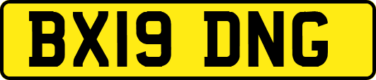 BX19DNG