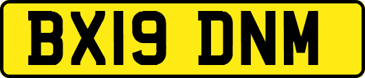BX19DNM