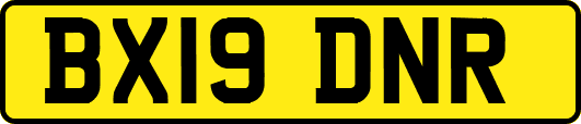 BX19DNR