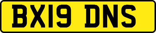 BX19DNS
