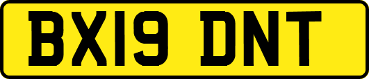 BX19DNT