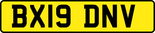 BX19DNV