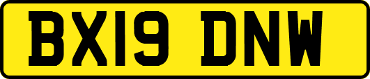 BX19DNW